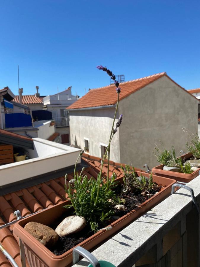 Lucy Apartment Piran-Punta Exterior photo